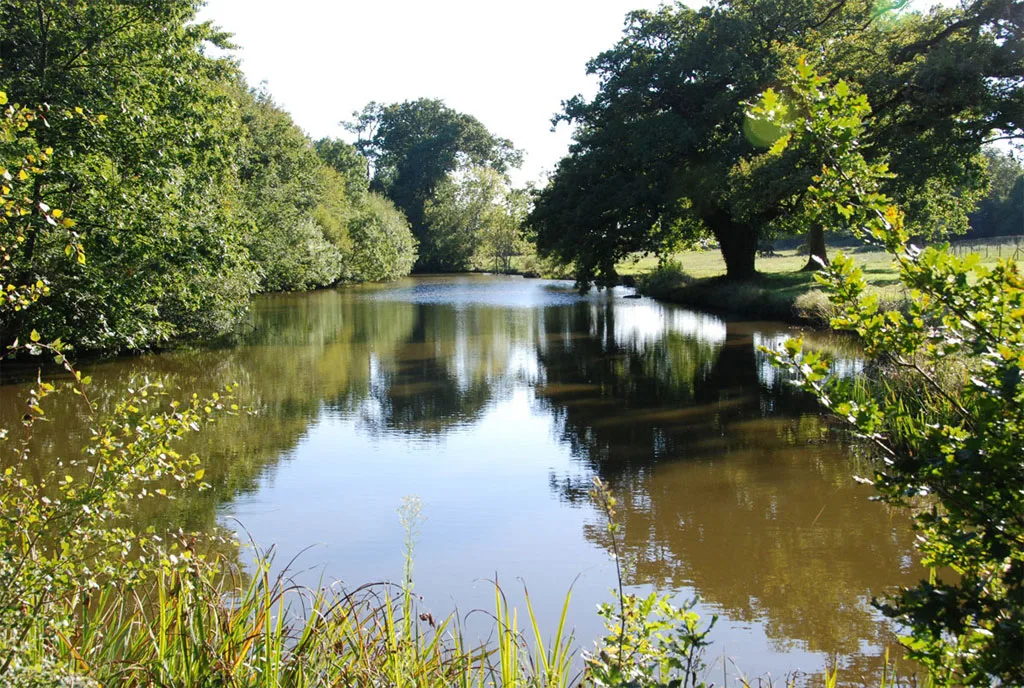 Le Domaine de Pierre Levée photo 4