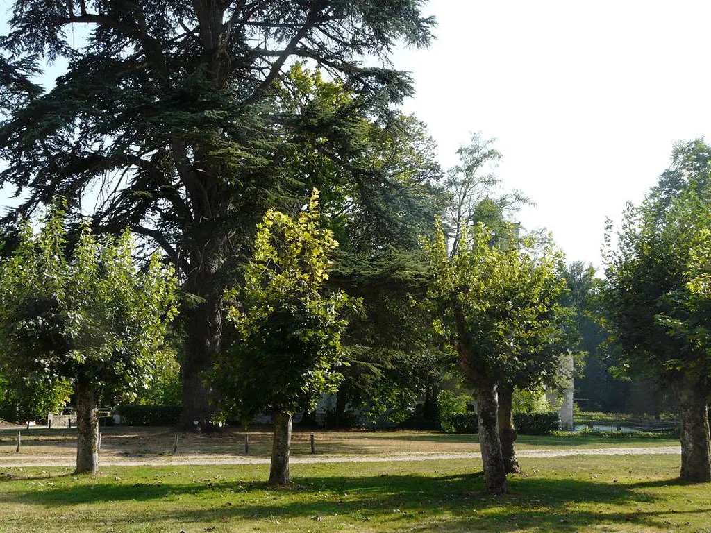 Gîtes du Château de Roujoux photo 4