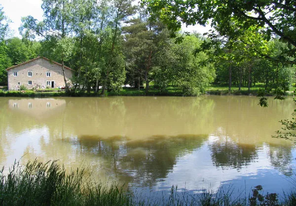 Gîte de la Grande Haye photo 2