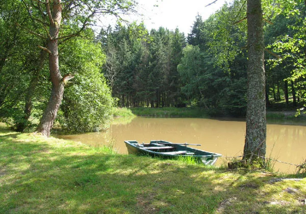 Gîte de la Grande Haye photo 3