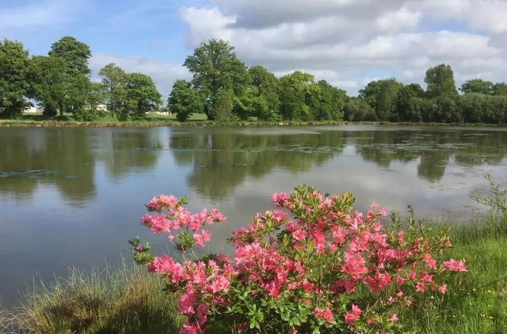 Le Grand Gite du Lac photo 2