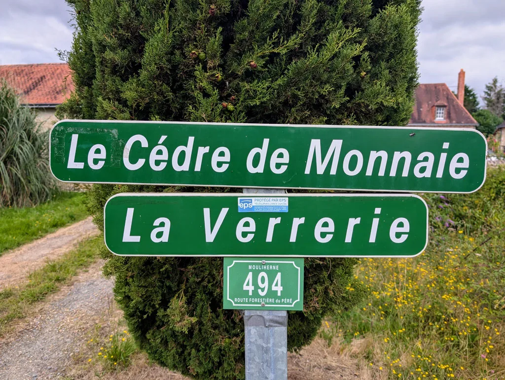Le Cèdre de Monnaie photo 2