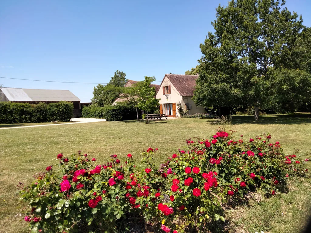 La Ferme des Pignons photo 4