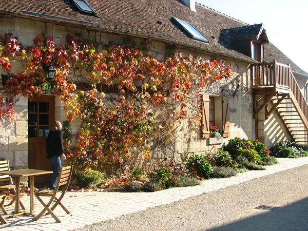 La Ferme des Pignons photo 5