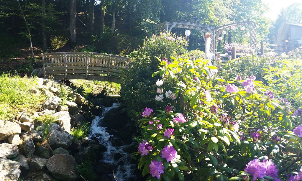 Le Clos du Meunier photo 3