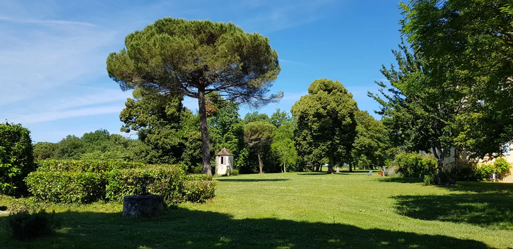 Château Le Tour photo 6