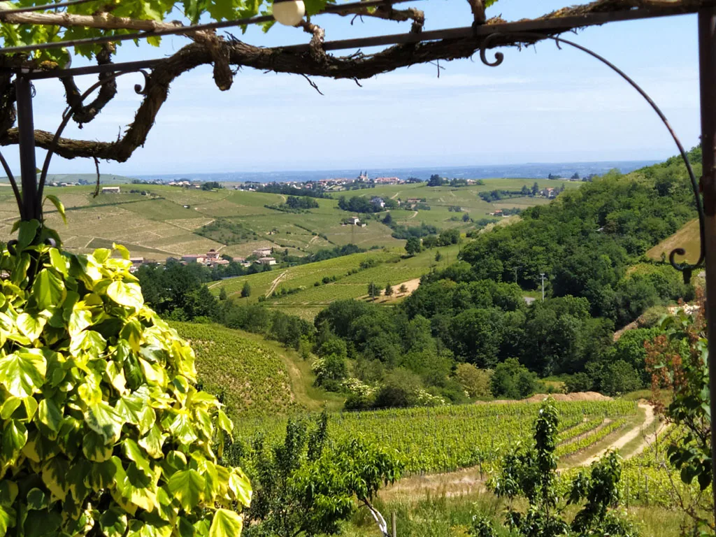 Domaine Lagneau photo 2