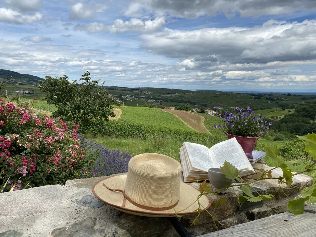 Domaine Lagneau photo 4