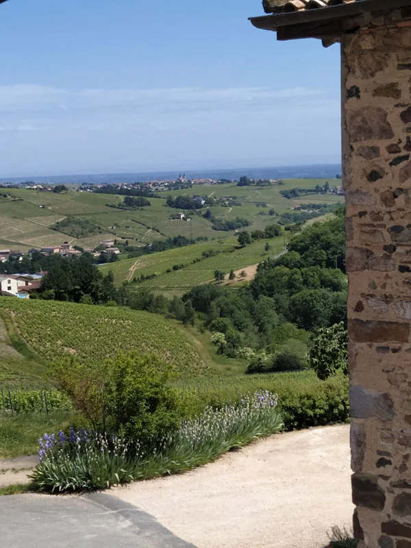 Domaine Lagneau photo 5
