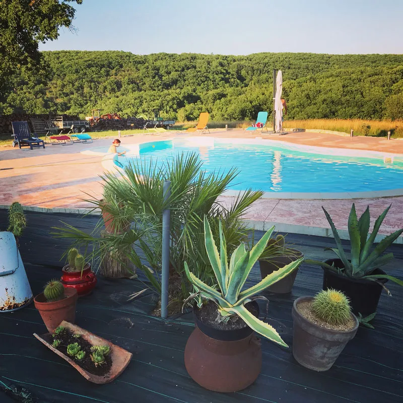 Domaine du Colombier photo 4