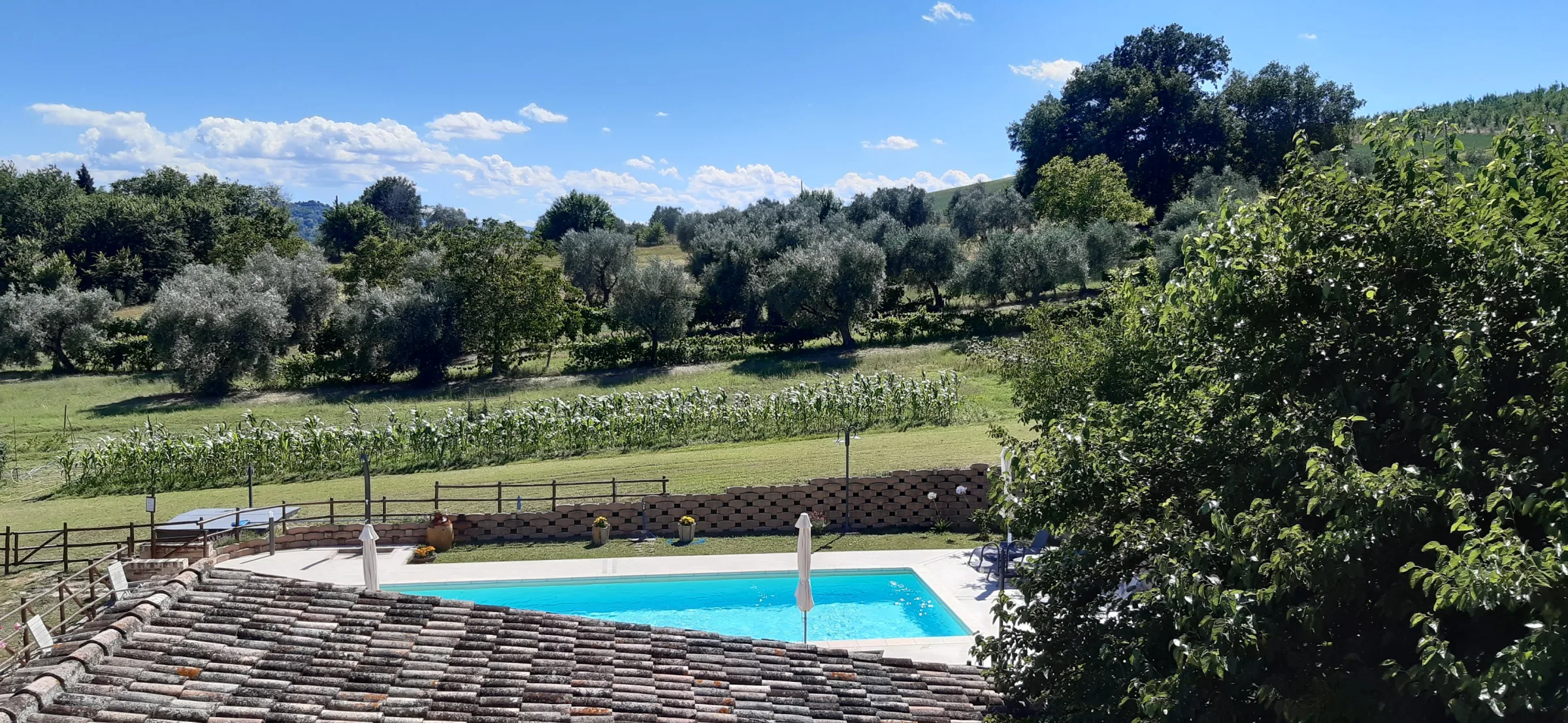 Agriturismo Forestale Luti - Treia - Le Marche photo 5