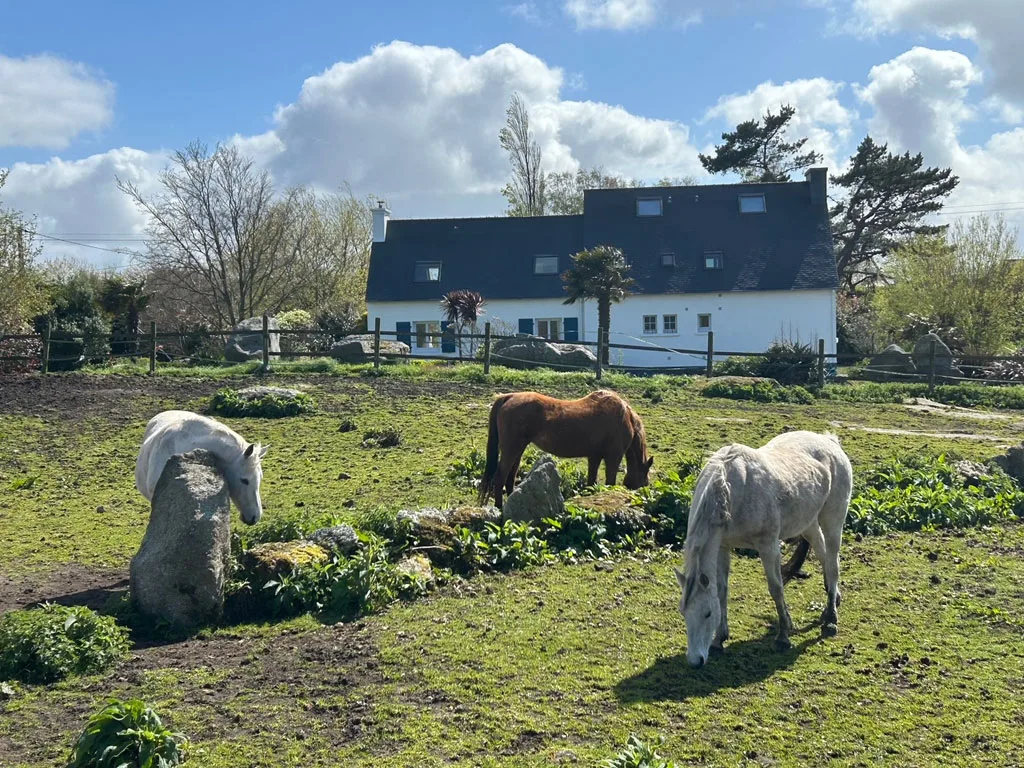 La villa aux chevaux photo 5