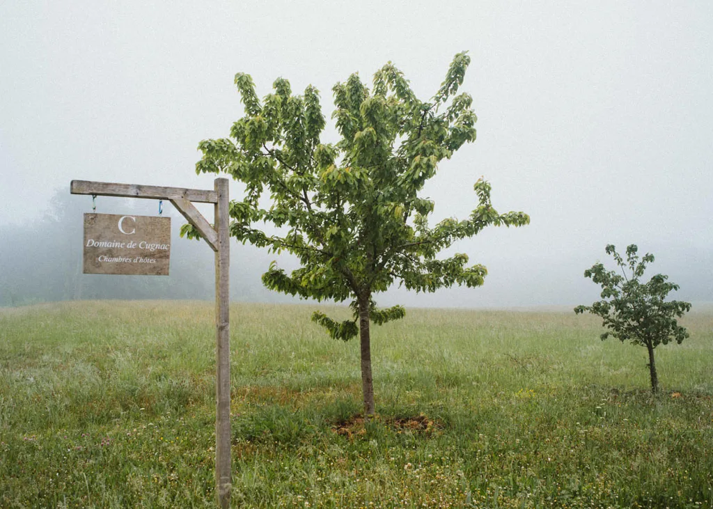 Domaine de Cugnac photo 3