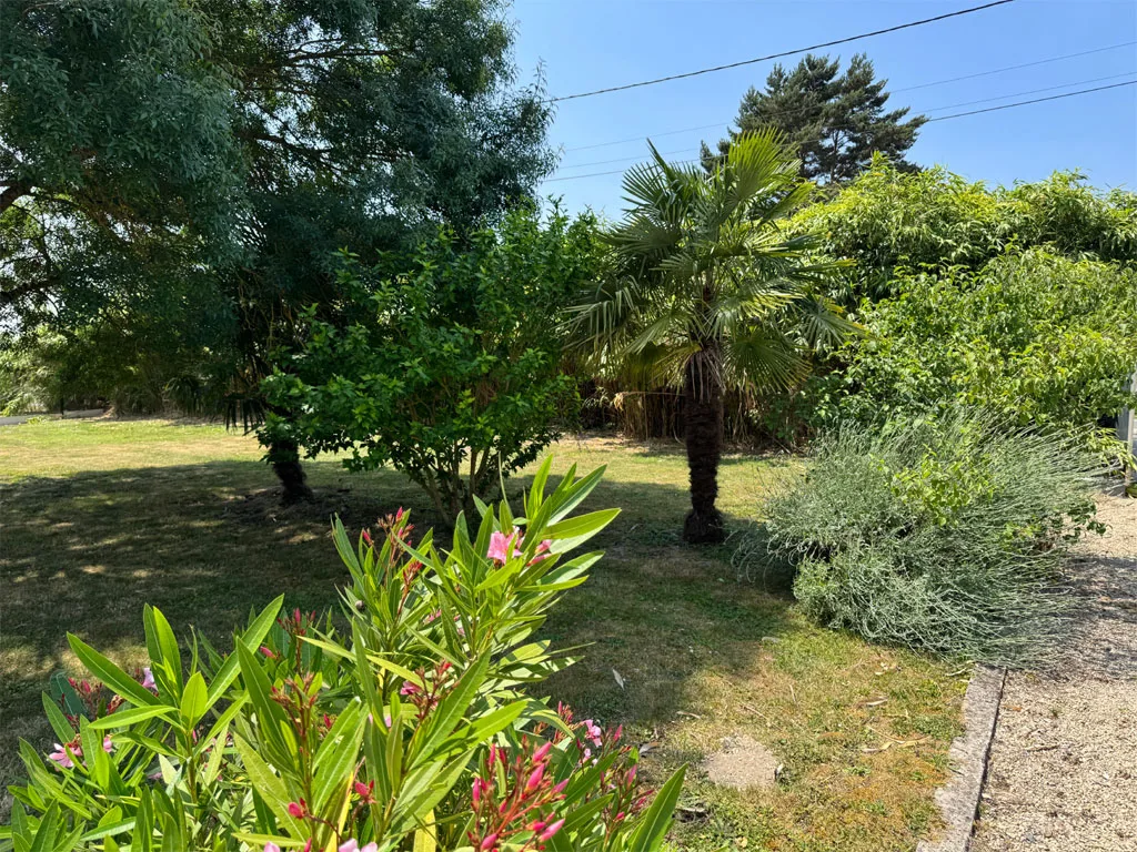 Le gîte des Vinaudières photo 3