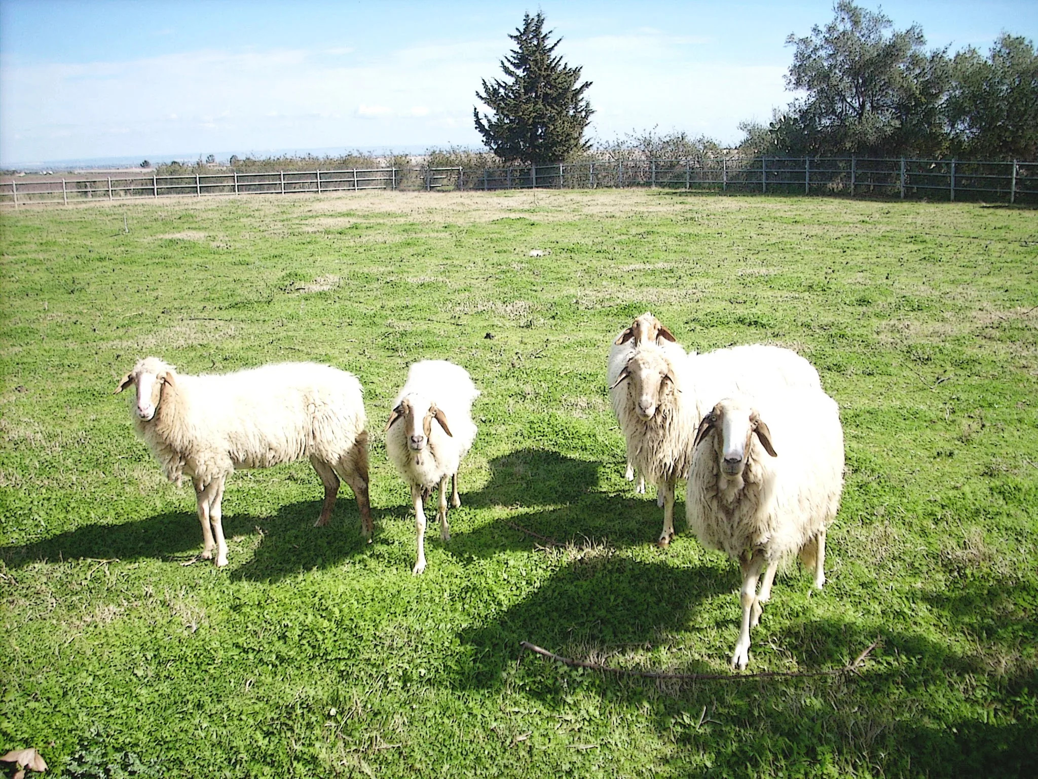 Agriturismoteo photo 5