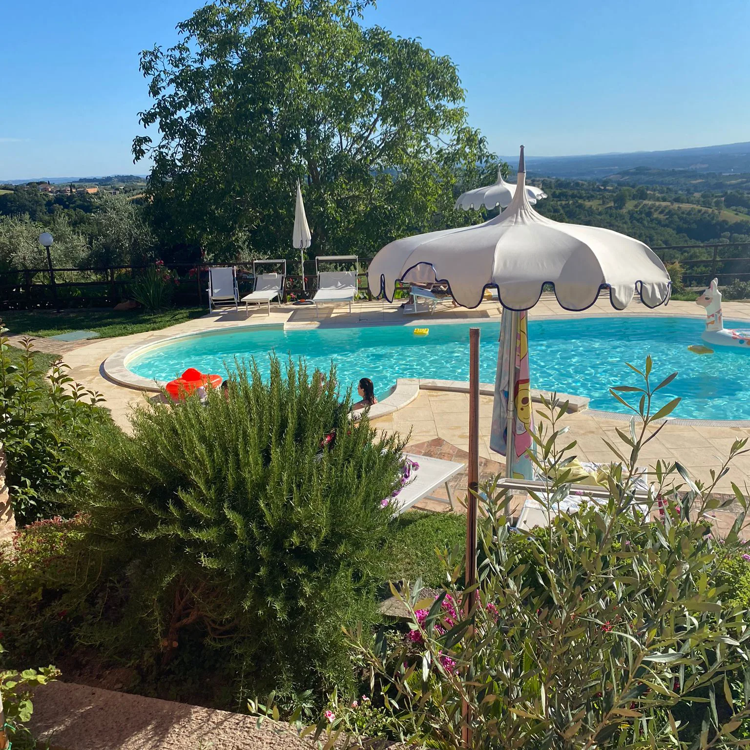 Agriturismo Tenuta San Savino delle Rocchette photo 3