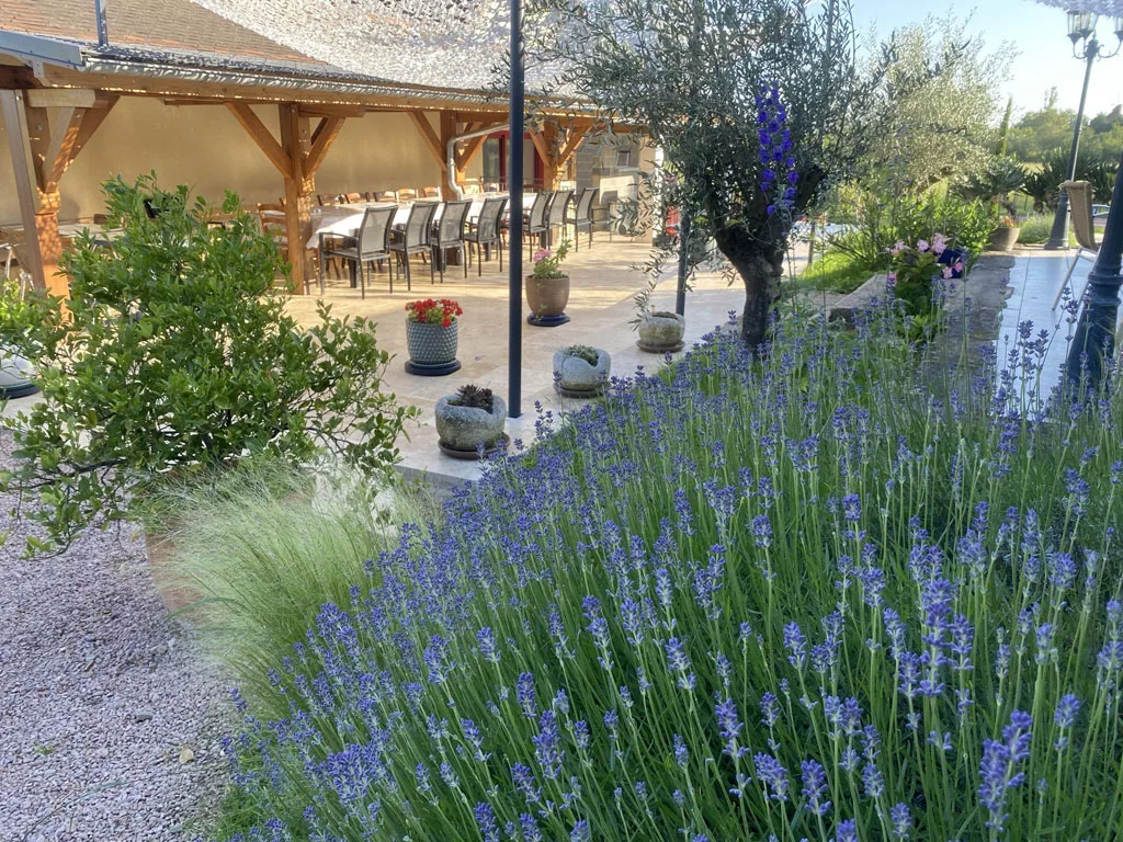 Gîte du Pied de Biche photo 5