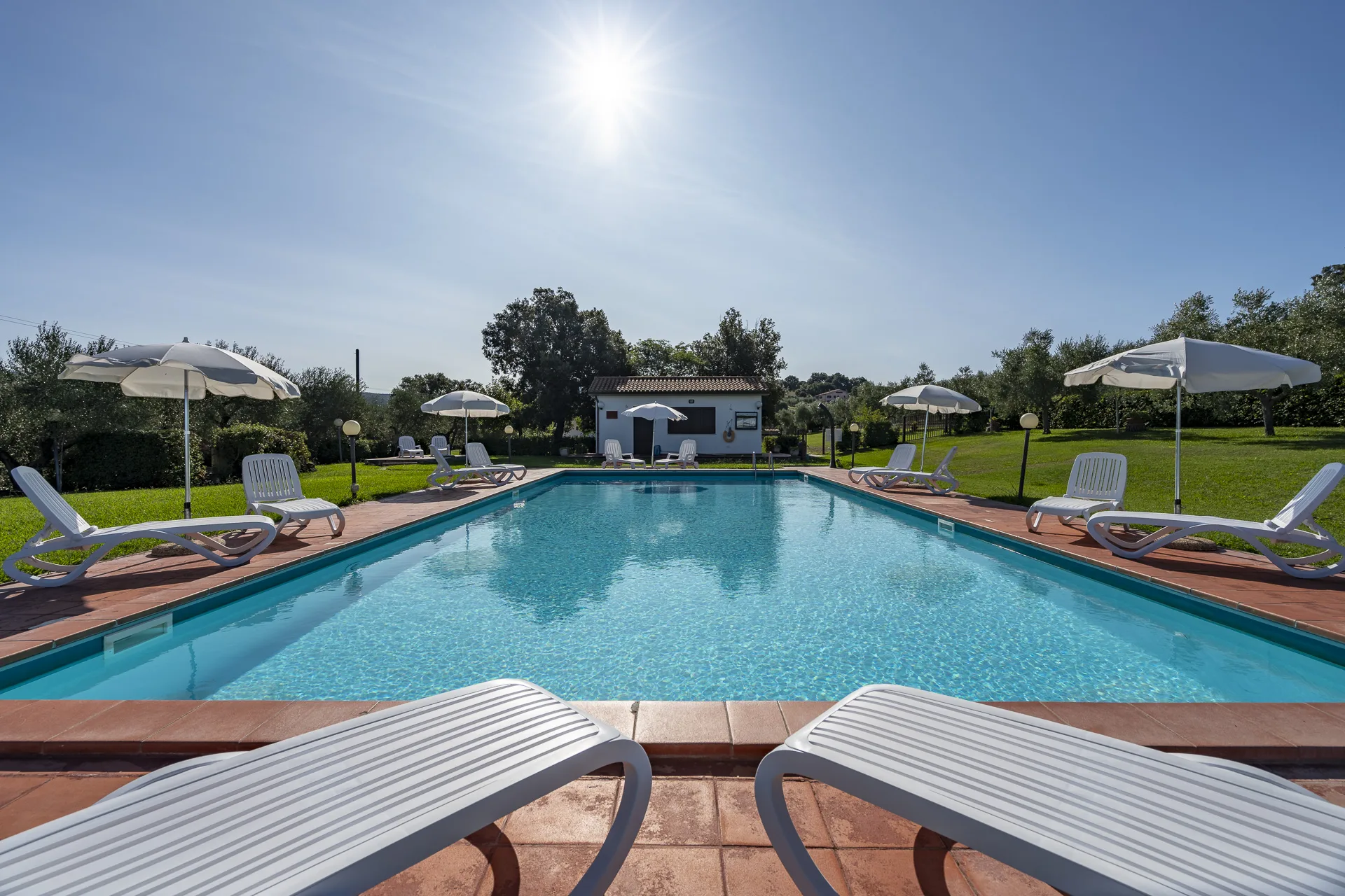 Farmhouse Poggio of Olives photo 5