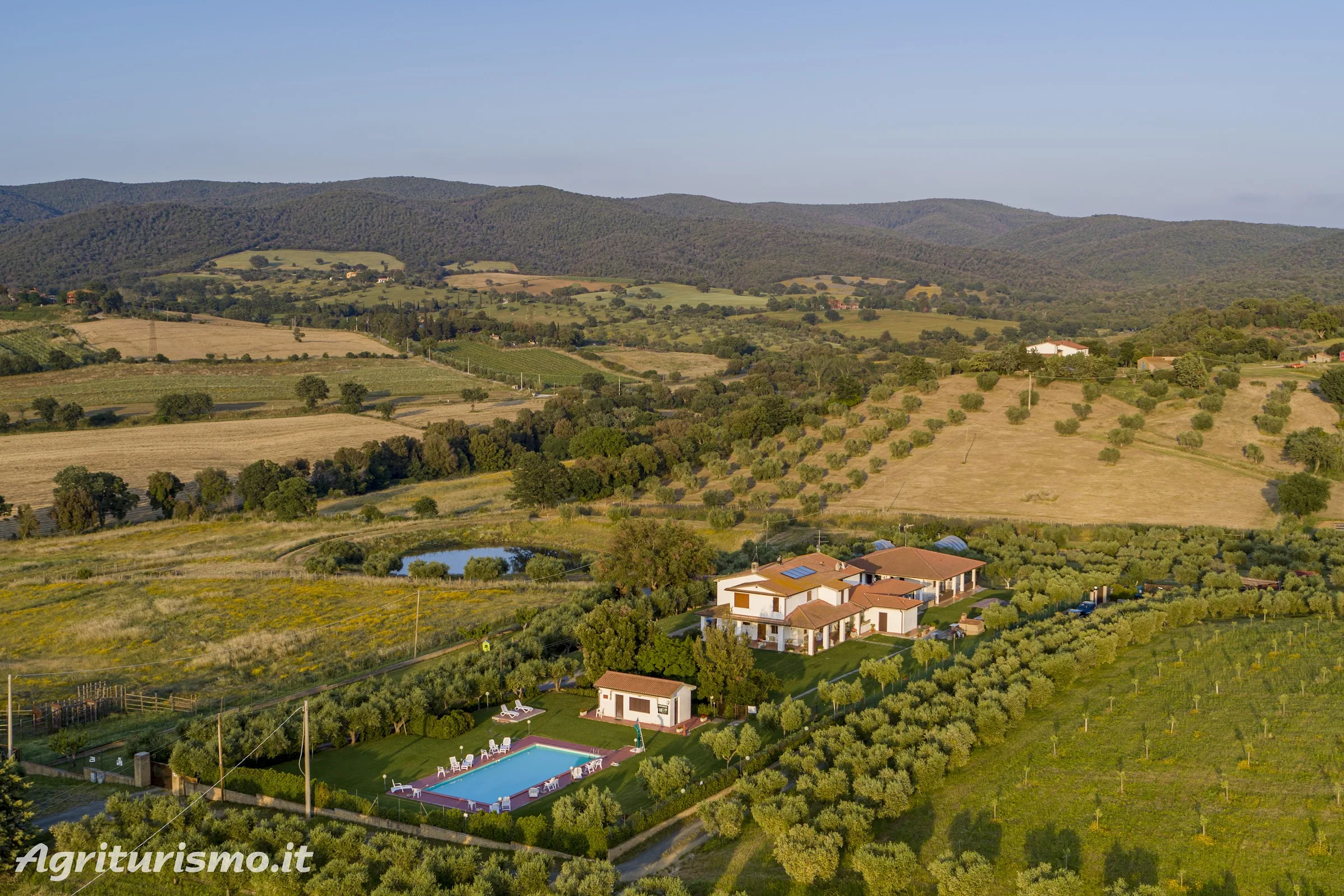 Farmhouse Poggio of Olives photo 6