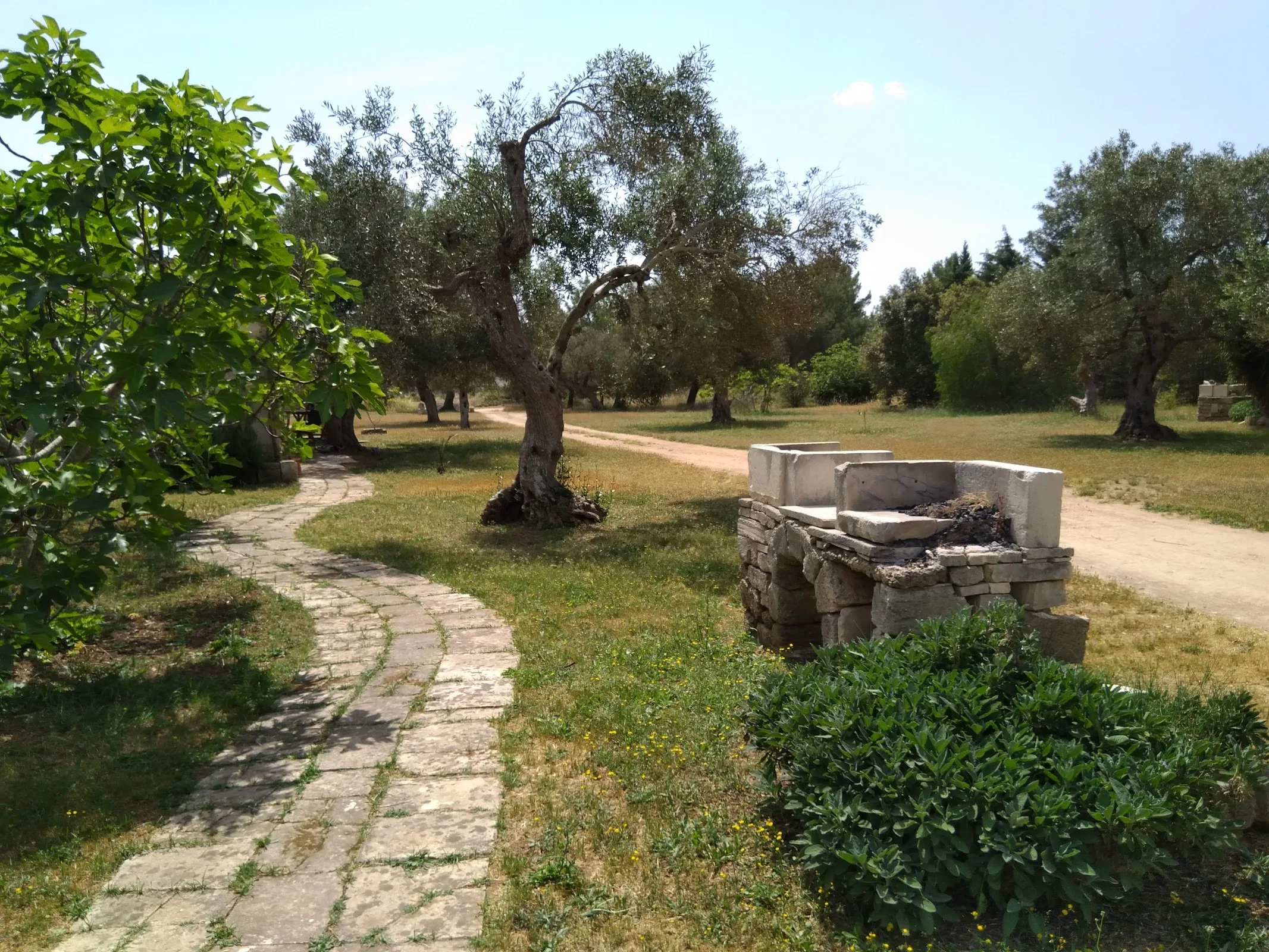 Agriturismo Masseria Sant'Angelo photo 4