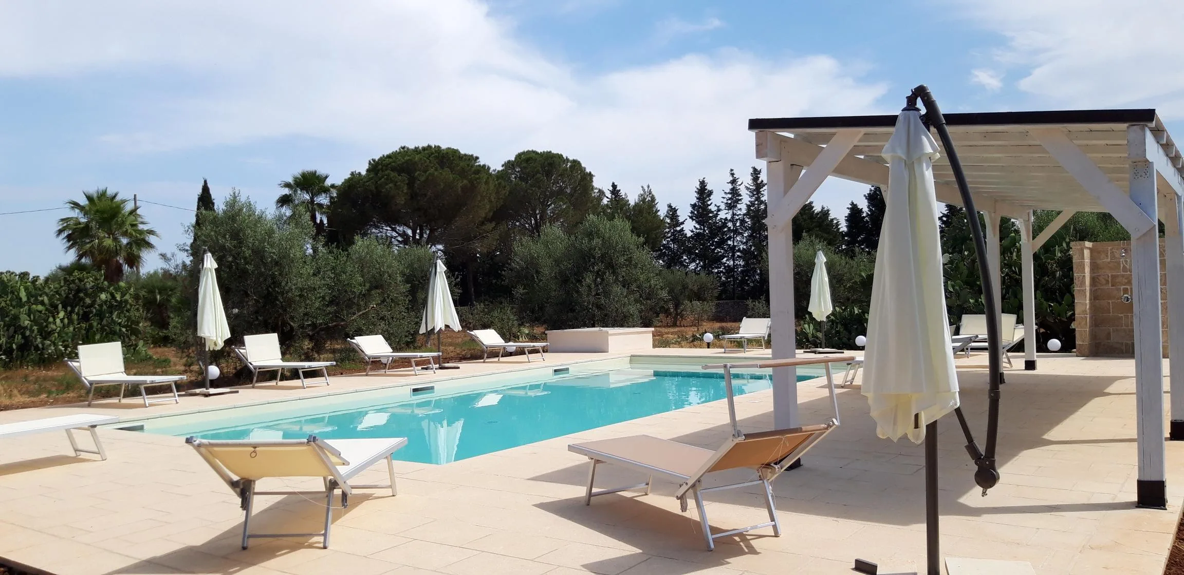 Agriturismo Gli Ulivi dei Rueni photo 3