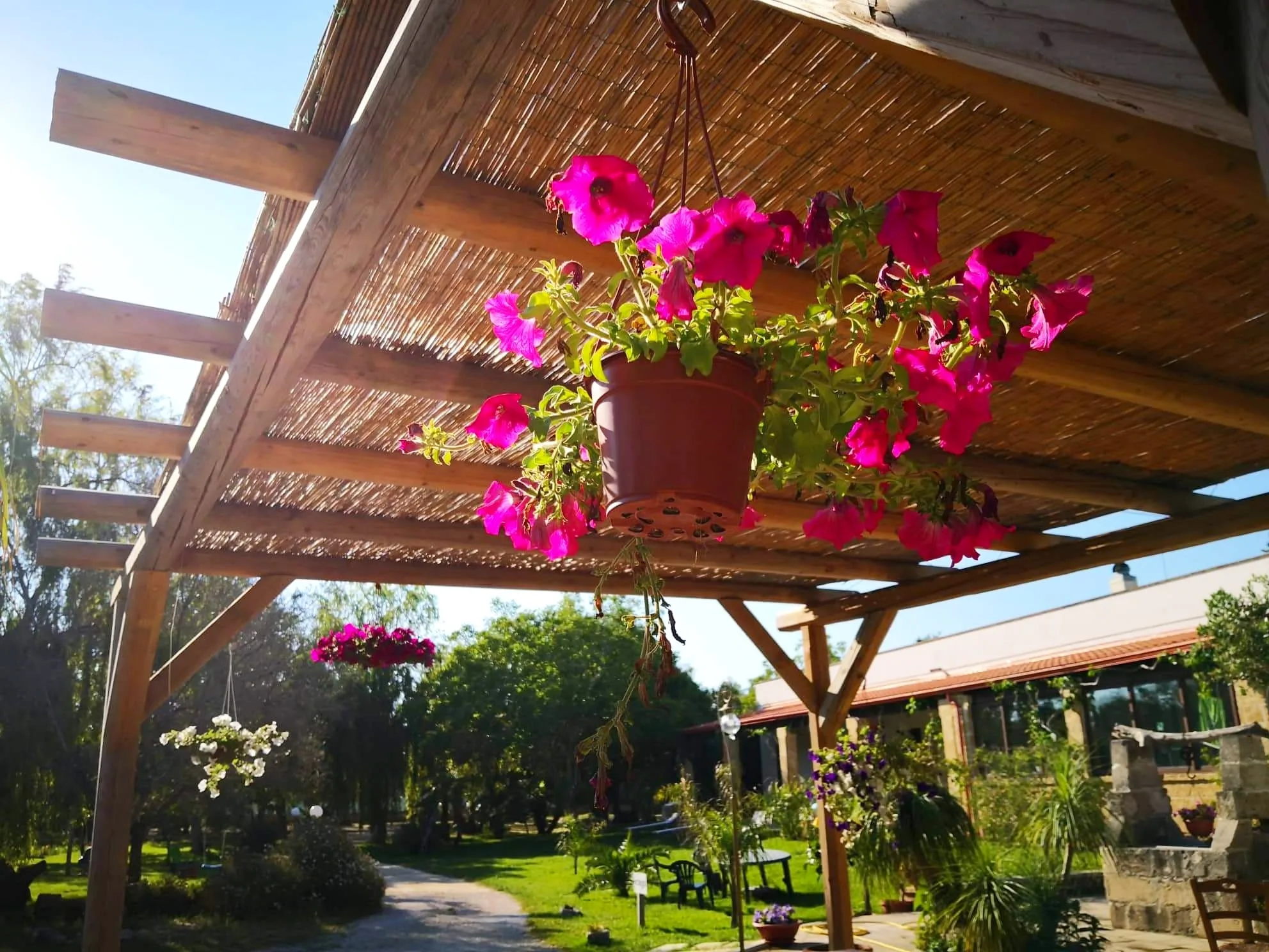 Le Tagliate photo 6