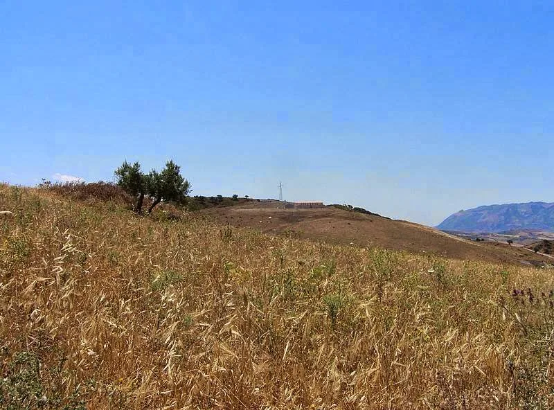Case Tabarani photo 5