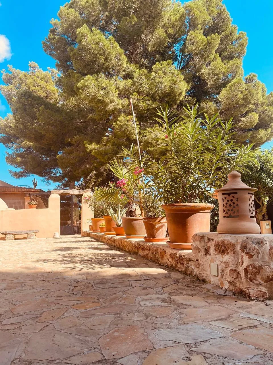 Finca Can Toni Villa photo 6