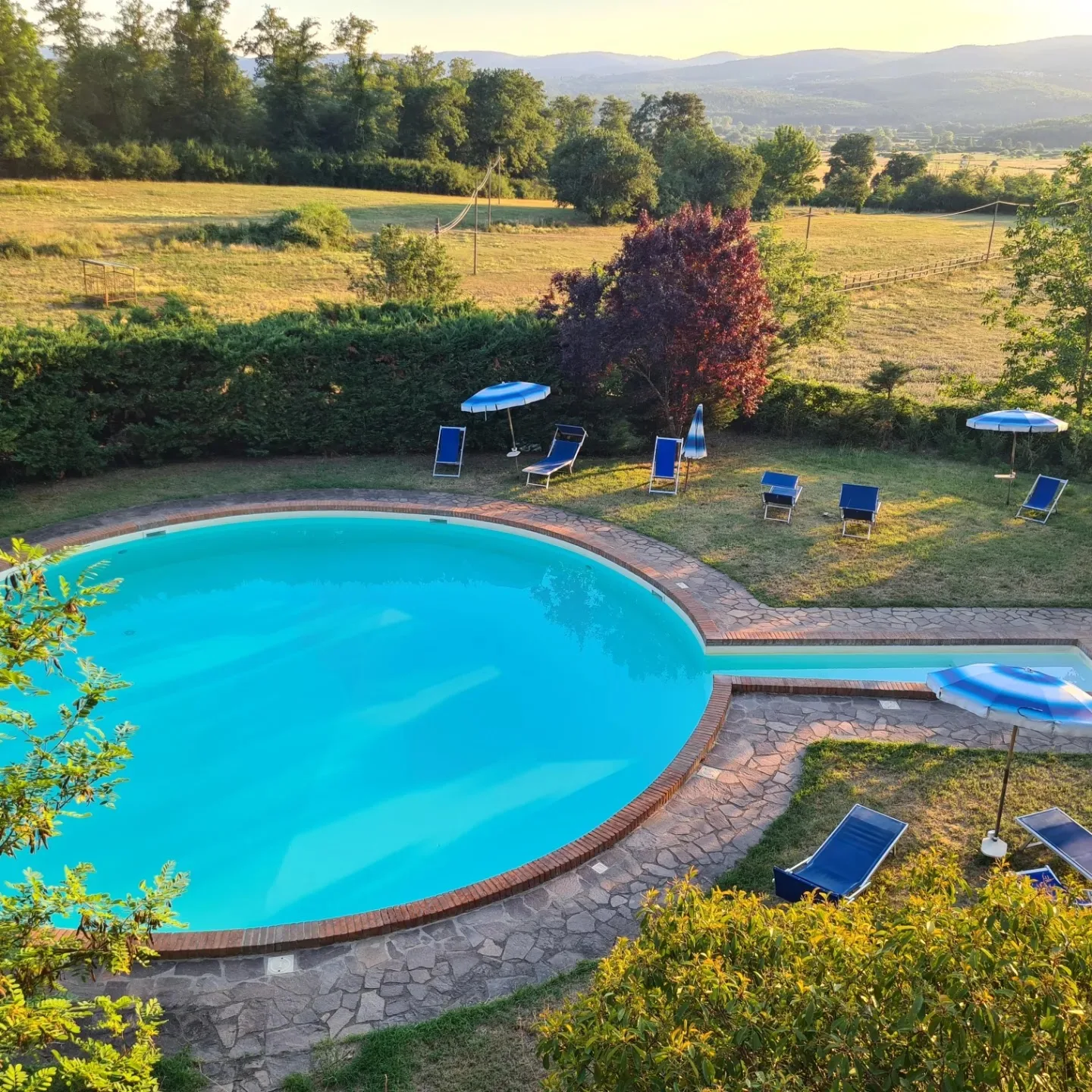 La Selva Agriturismo photo 2
