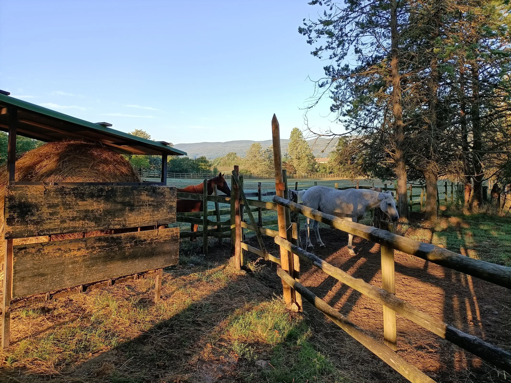 La Selva Agriturismo photo 6