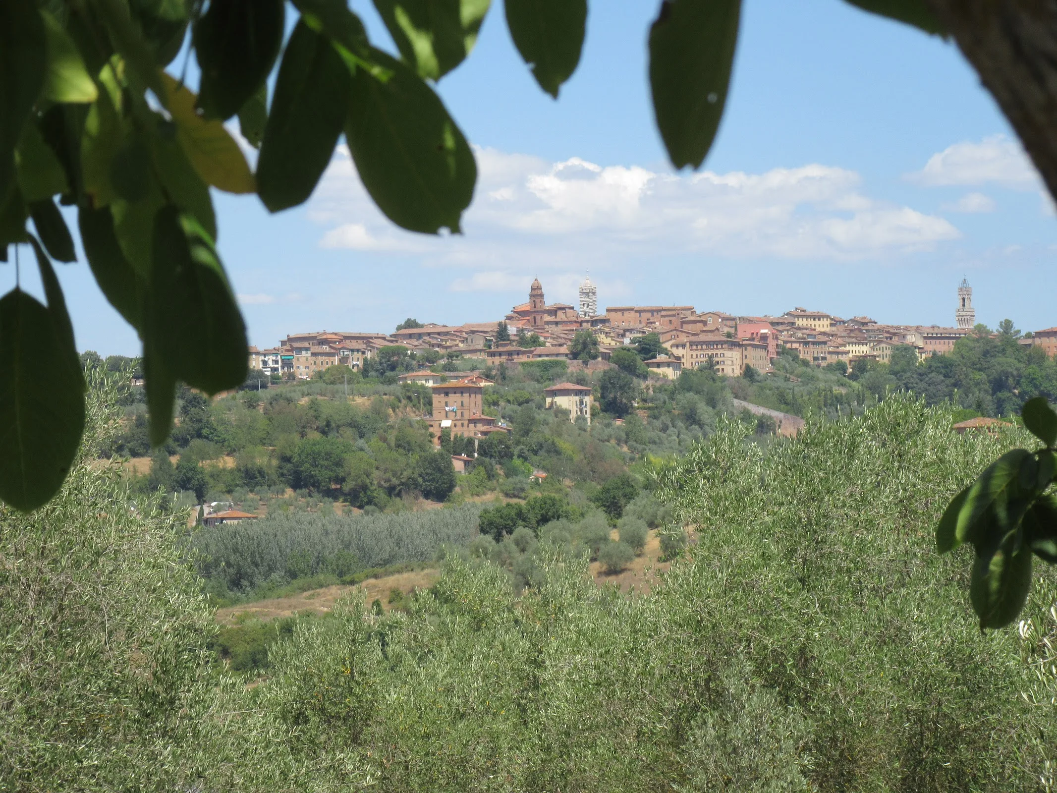 Agriturismo La Torretta photo 5