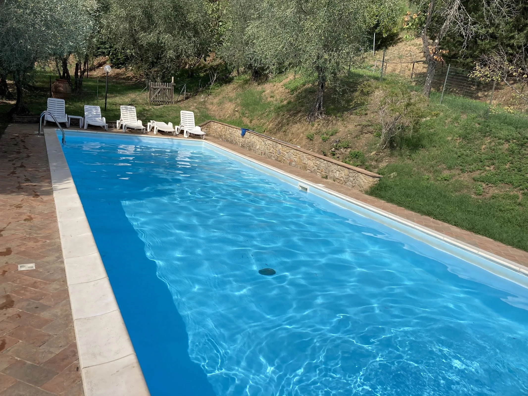 "Il Sambuco" photo 3