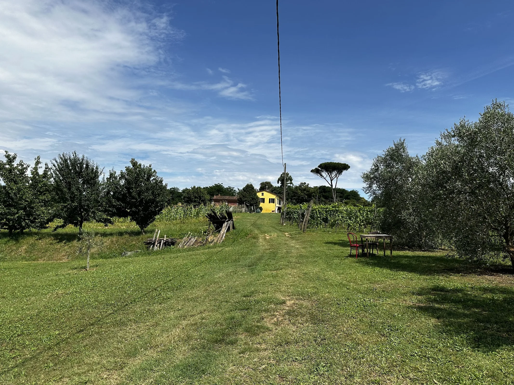 Agriturismo Magic Moments photo 3