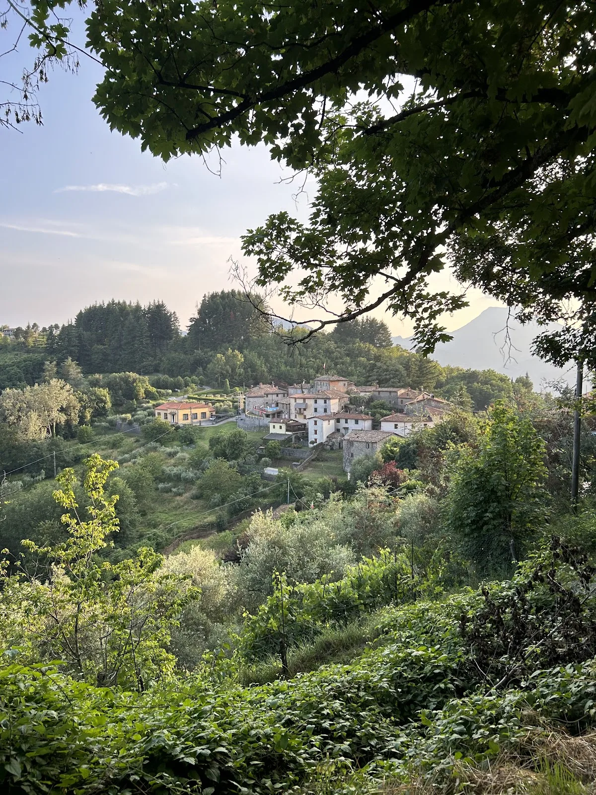 Agriturismo I Cerretelli photo 4