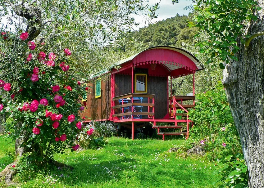 Azienda Agricola e Caravan Della Mezzaluna photo 4