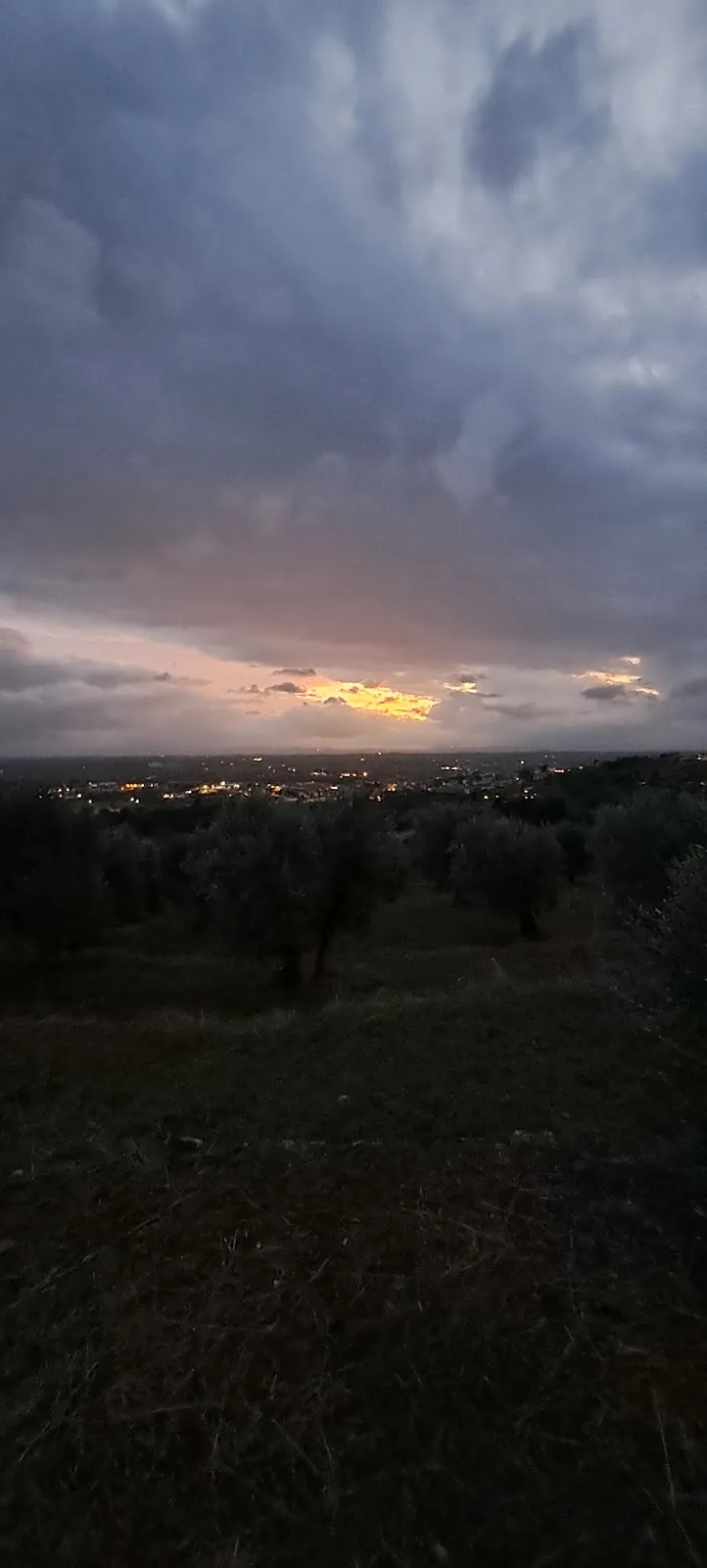 Agriturismo "Il Torrino" photo 2