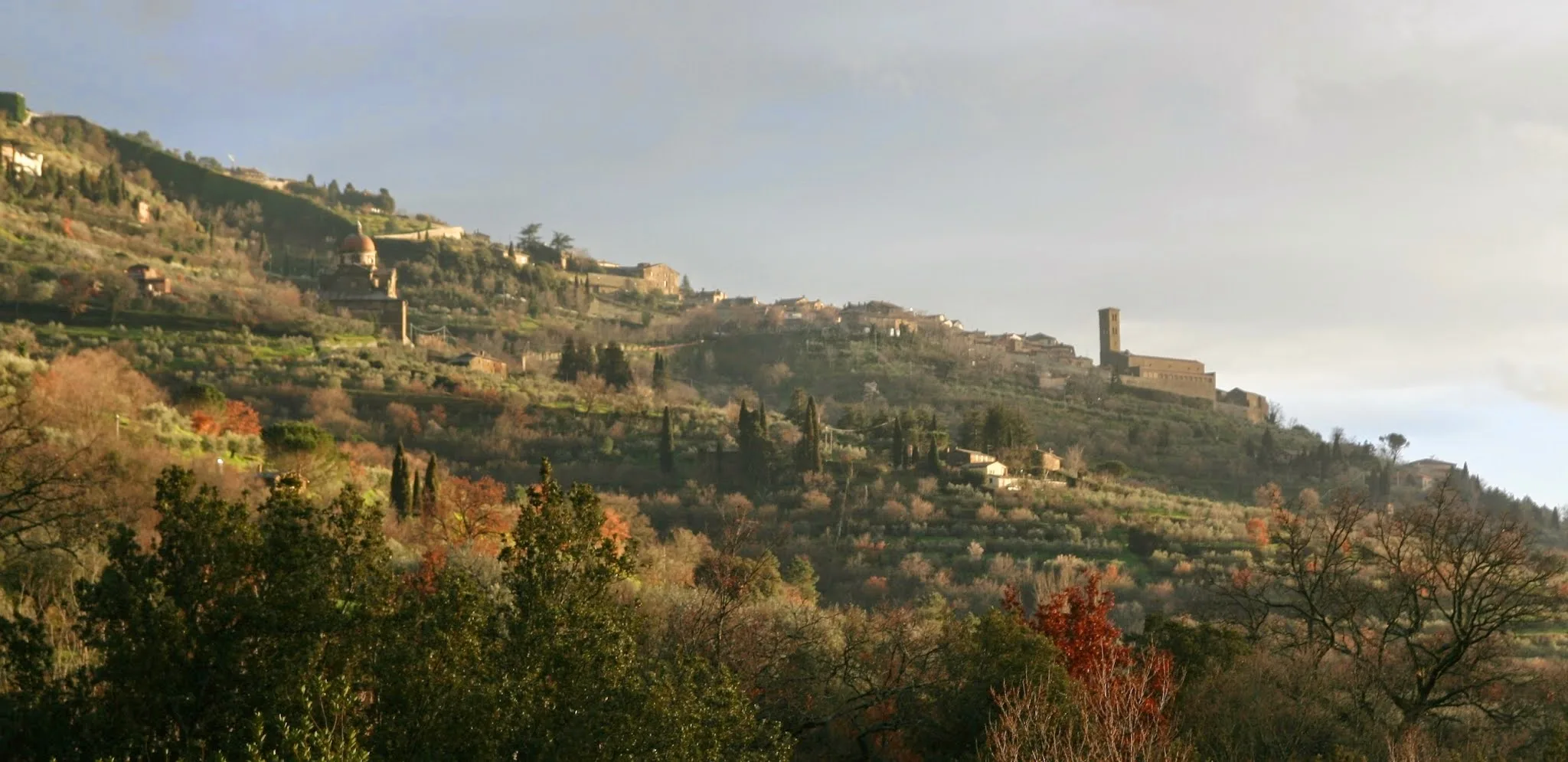 Antica Quercia Verde photo 6