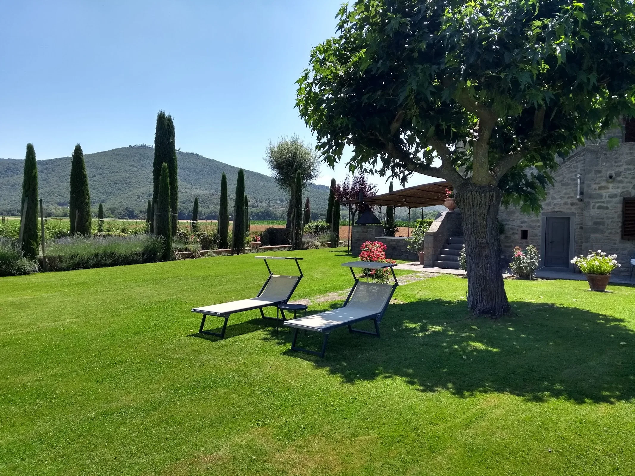Agriturismo I Pagliai photo 4