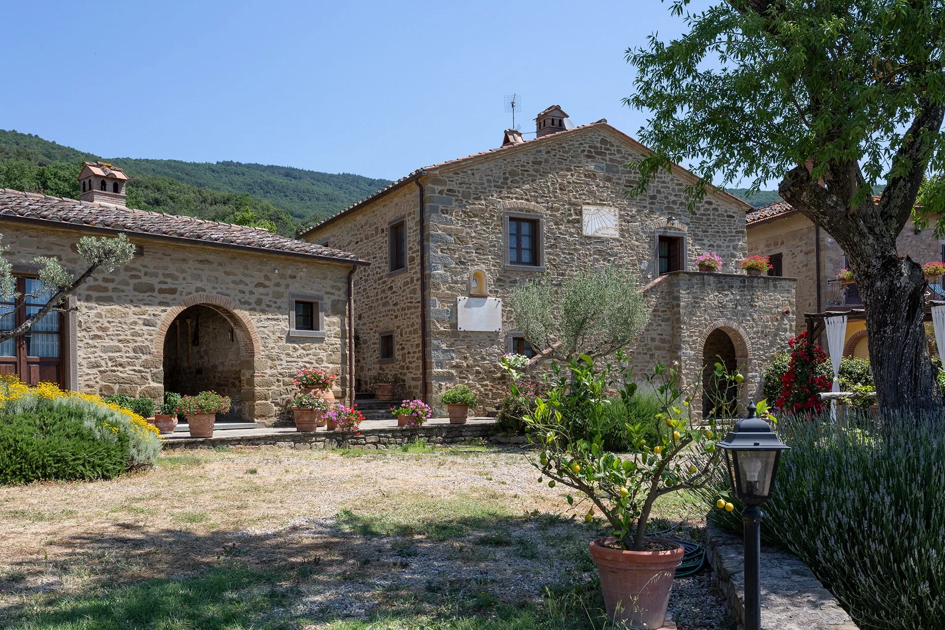 San Martino agli Ulivi photo 4