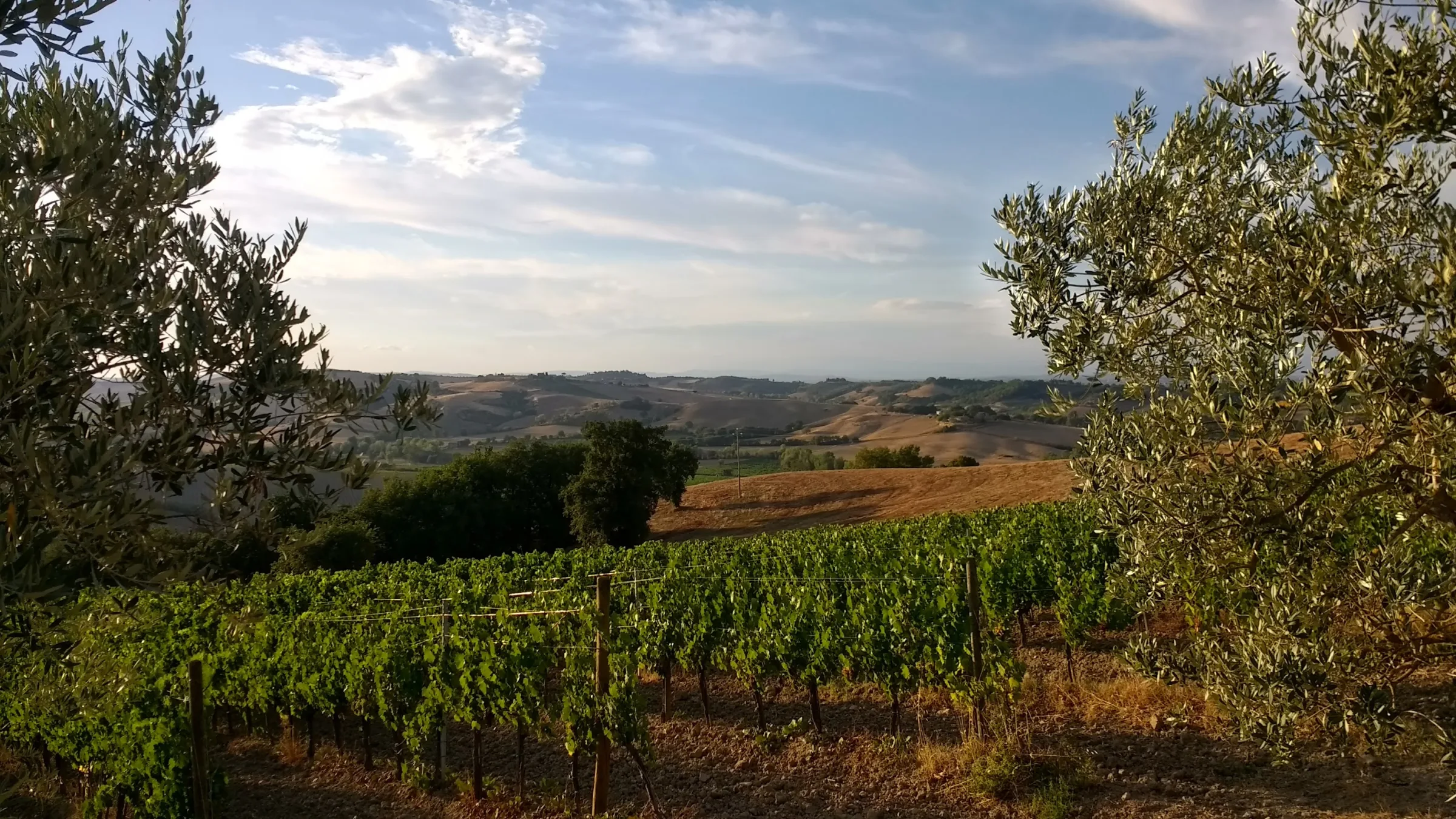 Agriturismo Podere Fucile photo 6