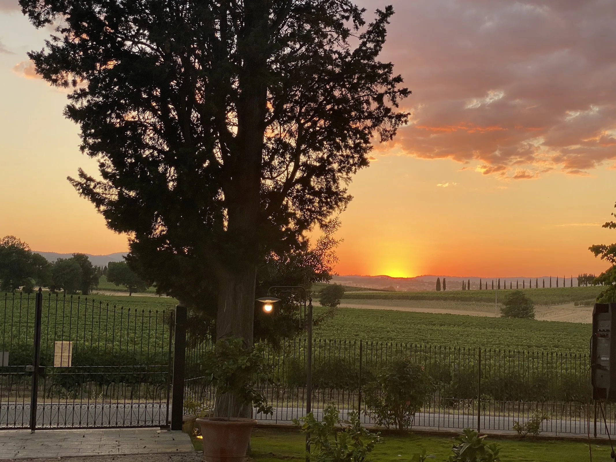 Podere La Rocca Farmhouse photo 6