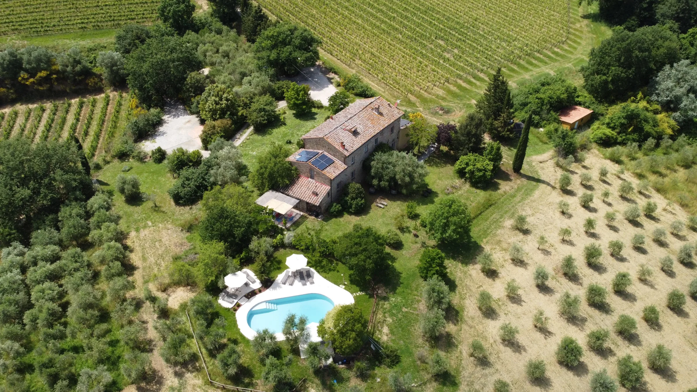 la Falconara photo 5