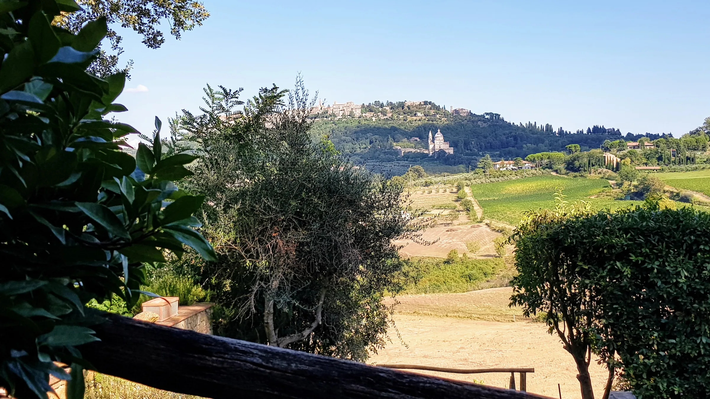Agriturismo Villa Mazzi photo 3
