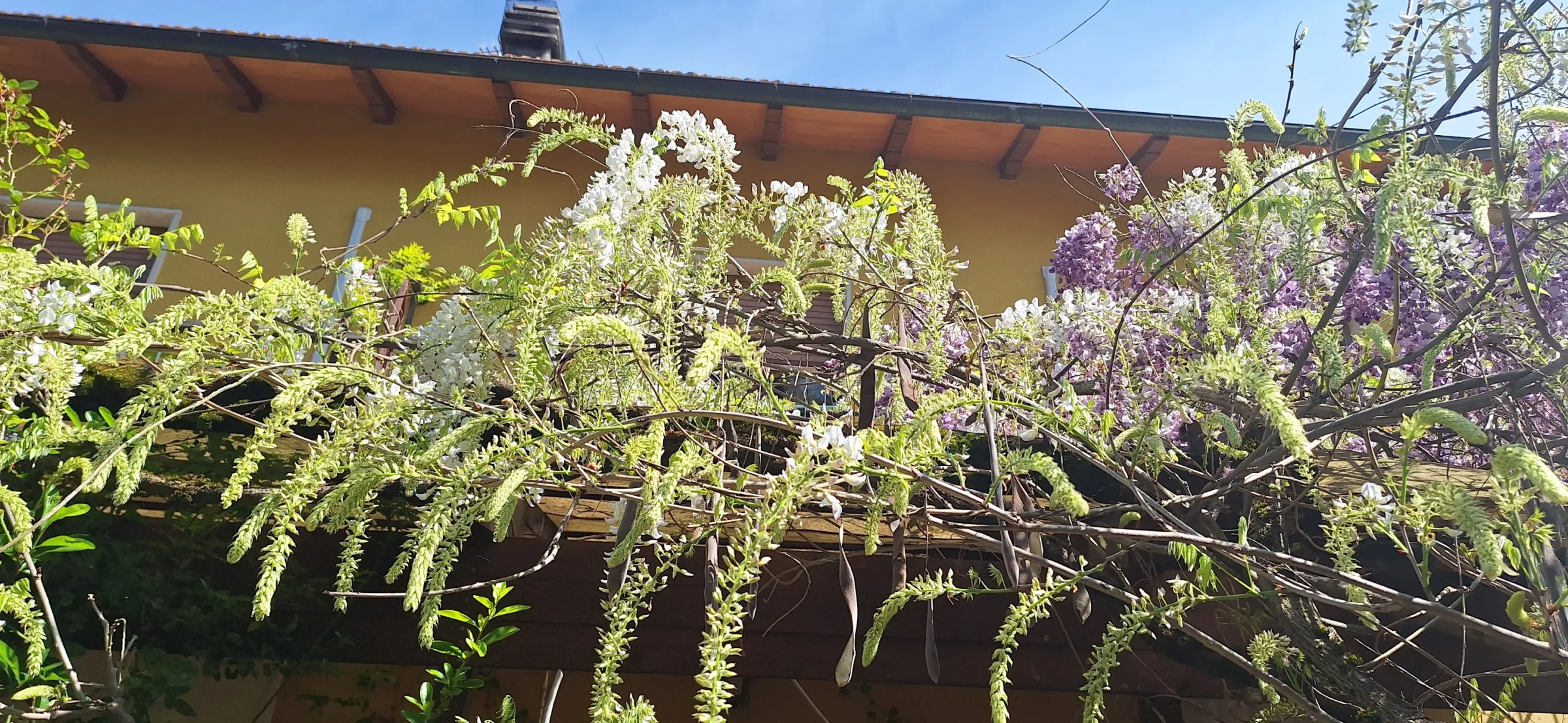 A Casa di Dona photo 6