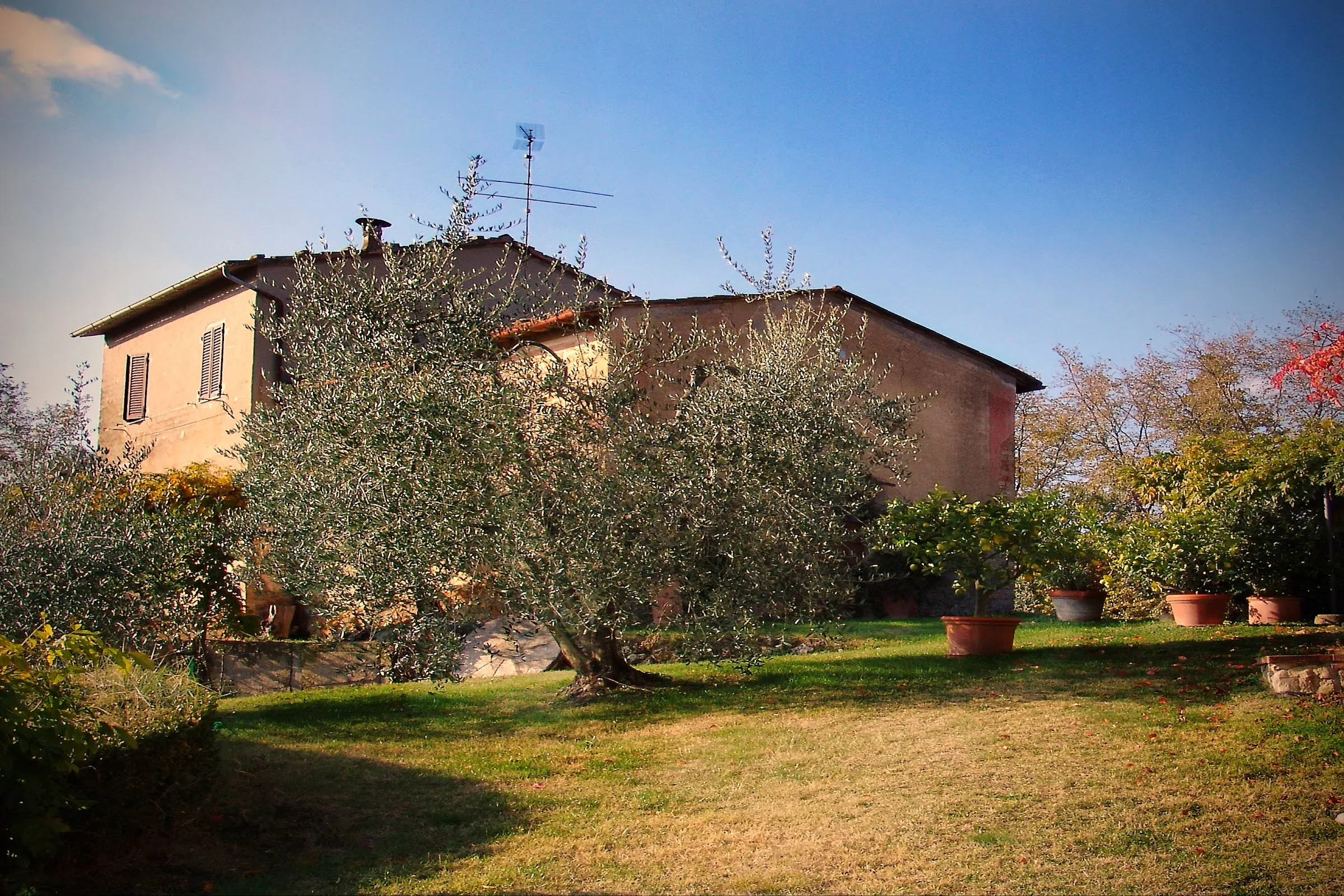 PATERNO AGRITURISMO photo 5