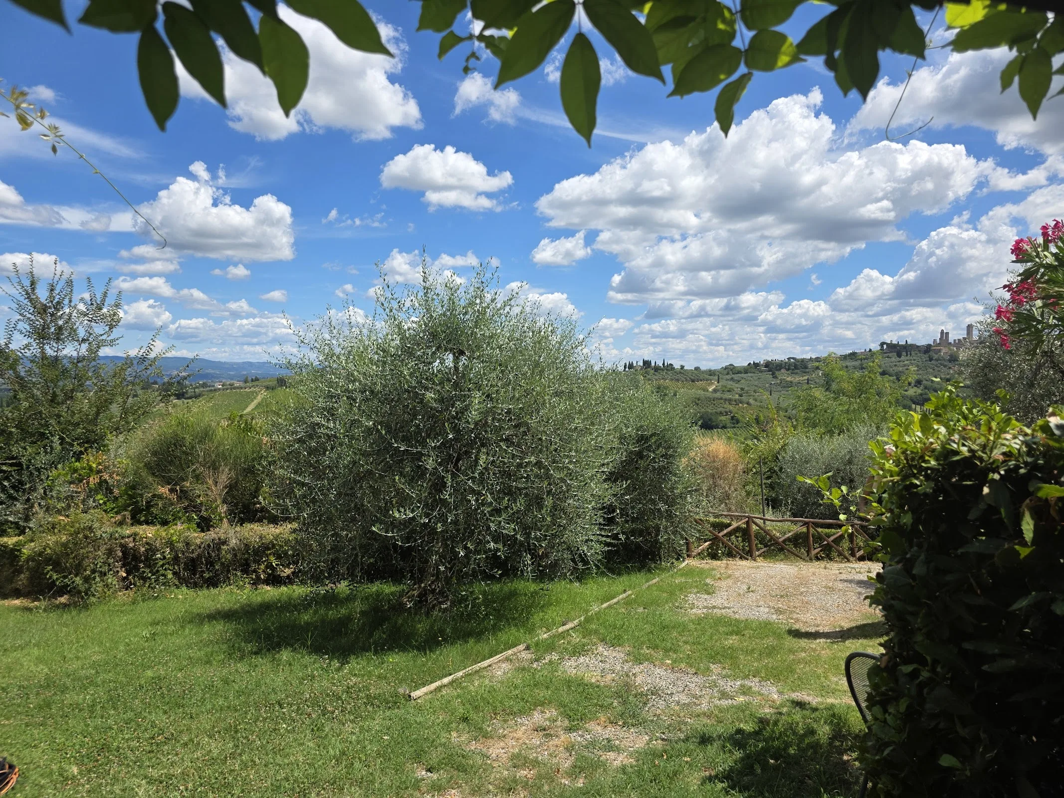 PATERNO AGRITURISMO photo 6