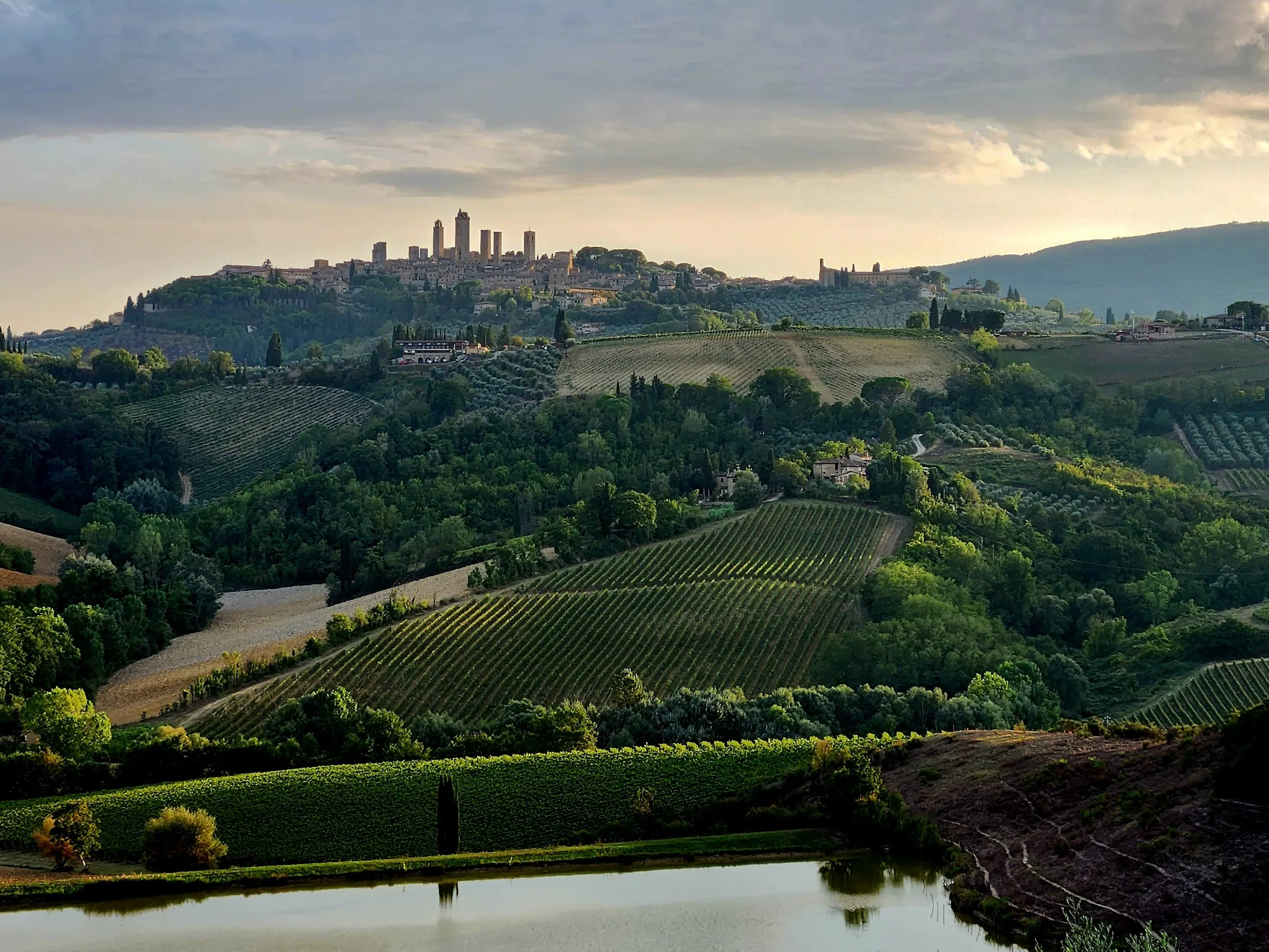 Fattoria Poggio Alloro photo 2