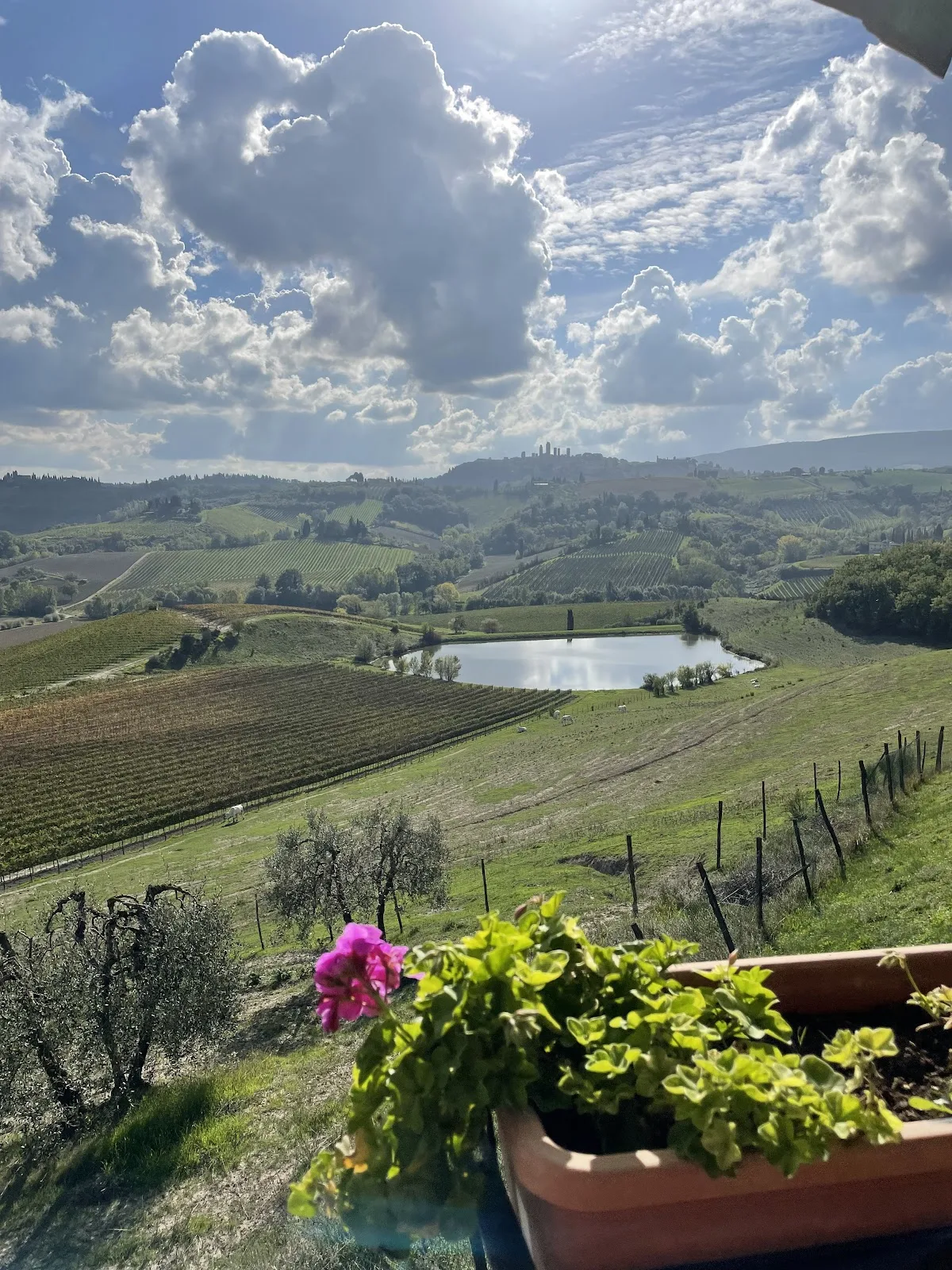 Fattoria Poggio Alloro photo 3