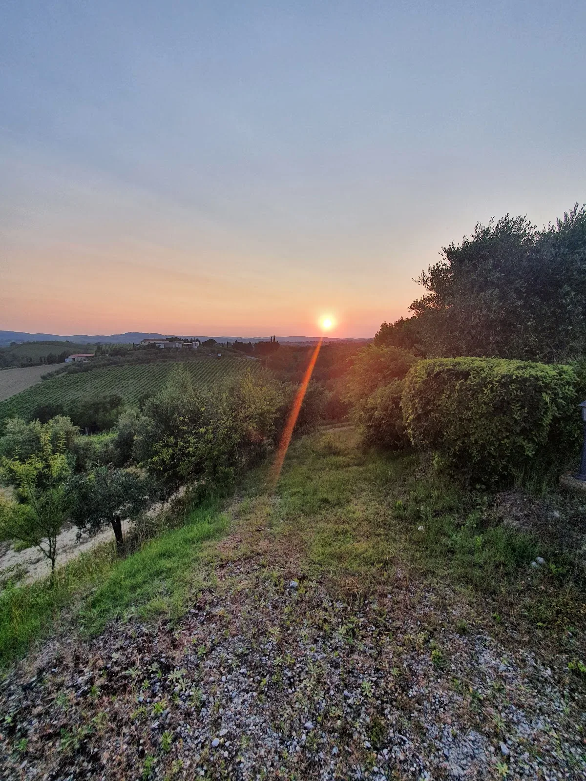 Agriturismo Il Mattone photo 4