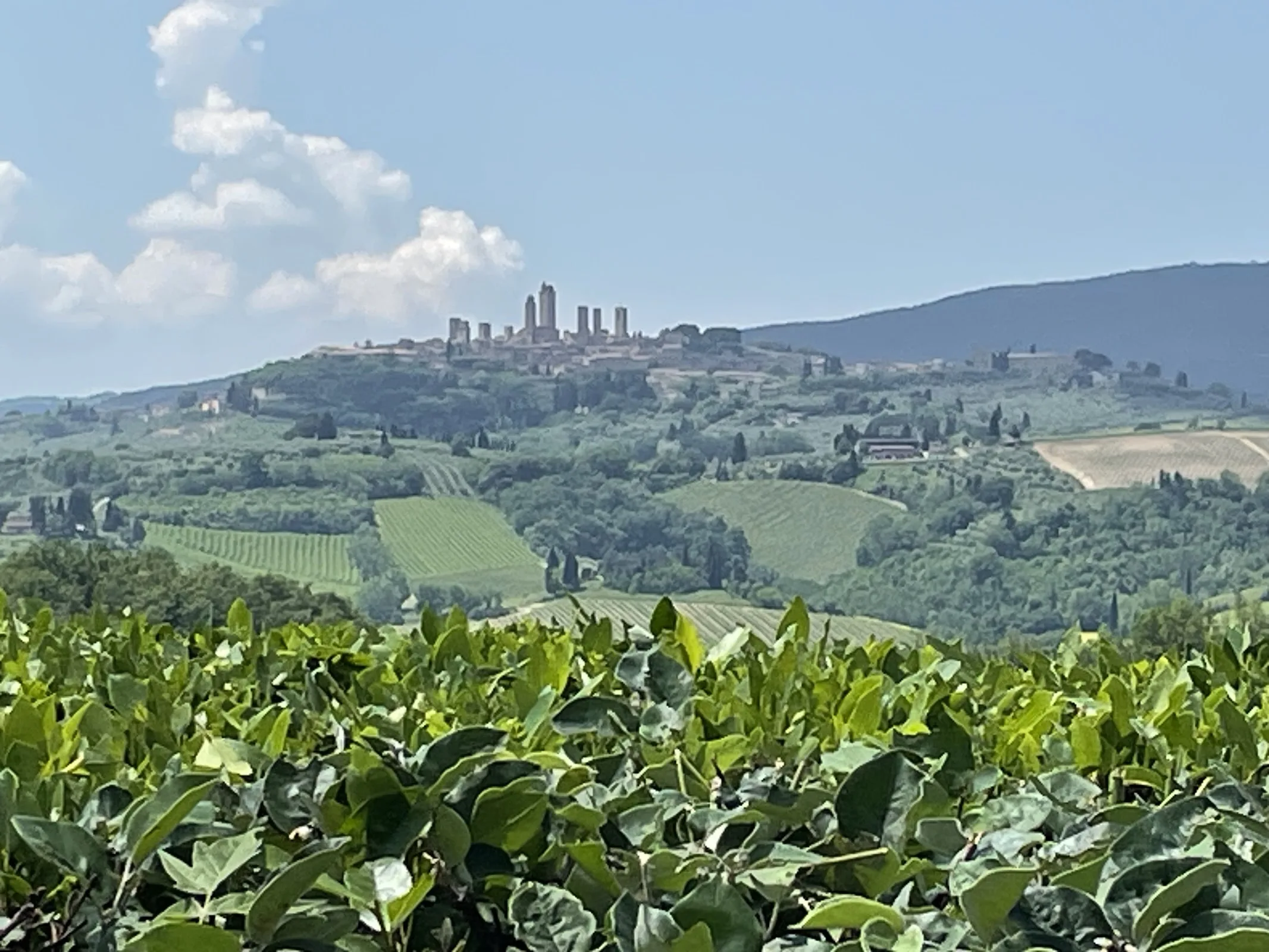 Agriturismo Il Mattone photo 5